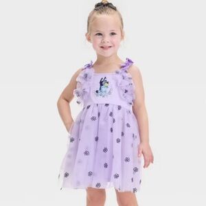 Toddler‎ Girls' Audrey Camille Bluey Flower Embroidery Tulle Dress Purple 5T